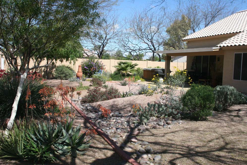 Shade Garden and Water Harvesting