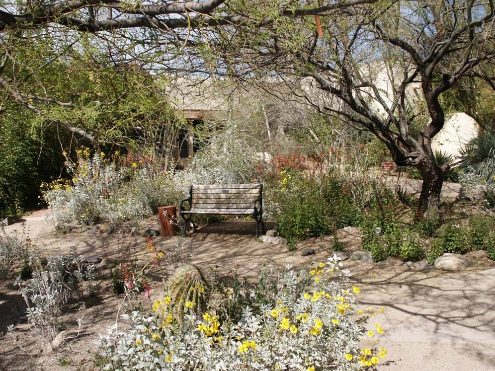 Bench Tohono Chul Park