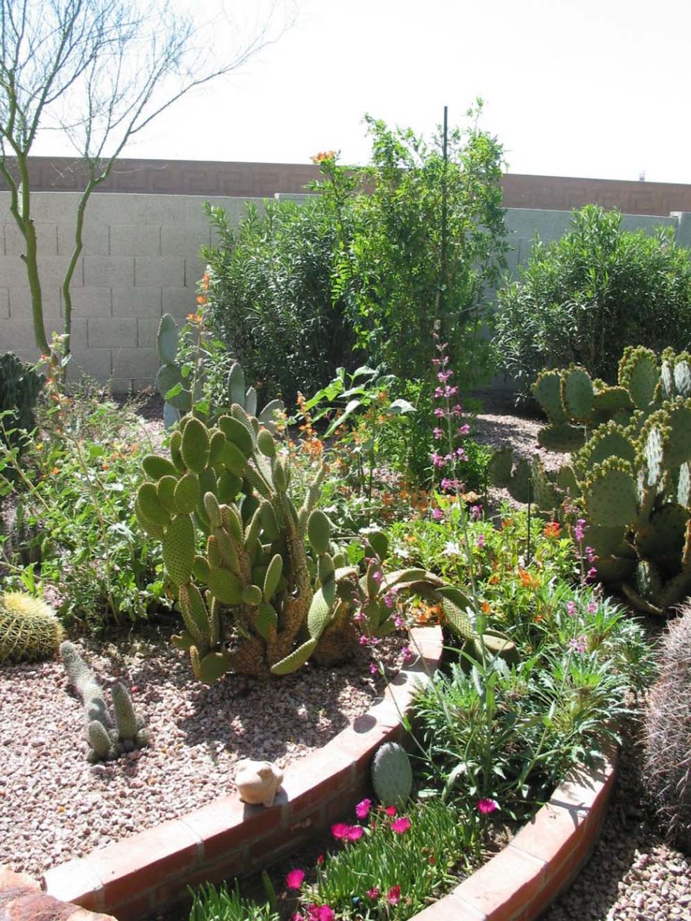 Planters in the Back