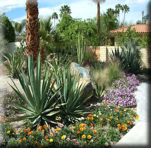 Back Yards