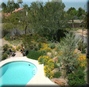 Contentment Garden