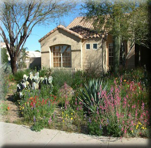 Wildflower Fiesta Garden