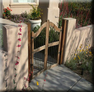 Desert Serenity Garden