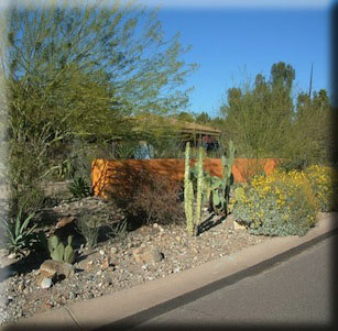 Desert Shade