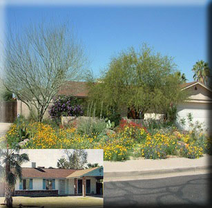 Landscape Conversions