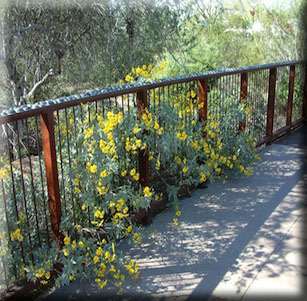 Fences