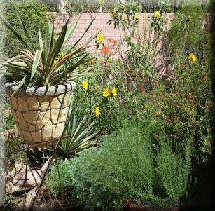 Arizona Green