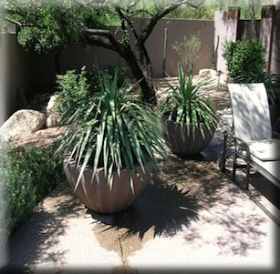 Outdoor Living
