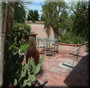 Patio Plants