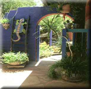 South of the Border Color