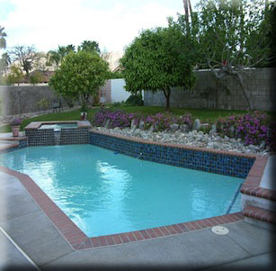 Swimming Pool Plants