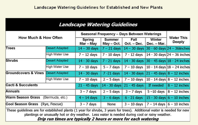 Watering Tips