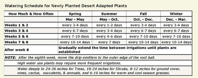 Watering Tips